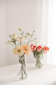 Two Vases Peach Poppies and Pink Tulips White Interior