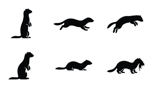 six weasel silhouettes in various poses on white background