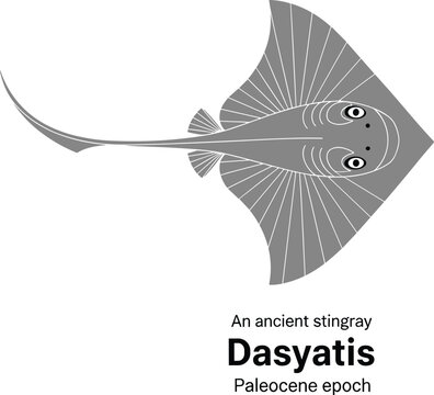 Dasyatis ancient stingray from Paleocene epoch stylized scientific illustration.