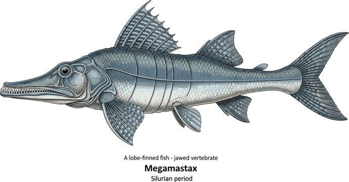 Megamastax lobe finned jawed vertebrate Silurian period illustration.