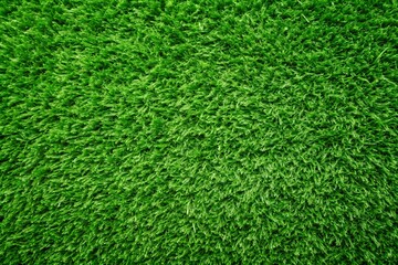 Fototapeta premium Vibrant green grass texture on white background lawn