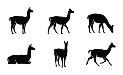 Llama Silhouette Collection, Vector Icons of South American Camelids in Various Poses, Minimalist Animal Graphics for Design Projects © Roja