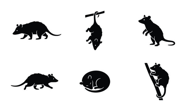 rodent vector icons set on white background