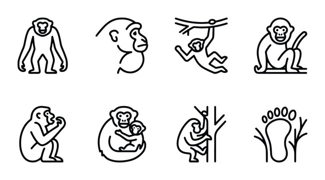 line art monkey set on white background