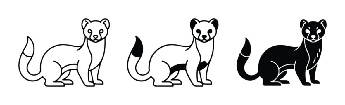 ferret vector set on white background