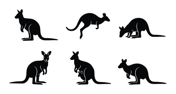 vector kangaroo icons set on white background