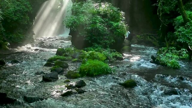 長野県軽井沢町の竜返しの滝、夏の朝に森の渓流へ光芒が差し込む人のいる幻想的な自然風景