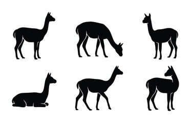 vector llama icons set on white background © Taslima