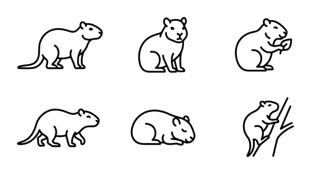 beaver icons set on white background