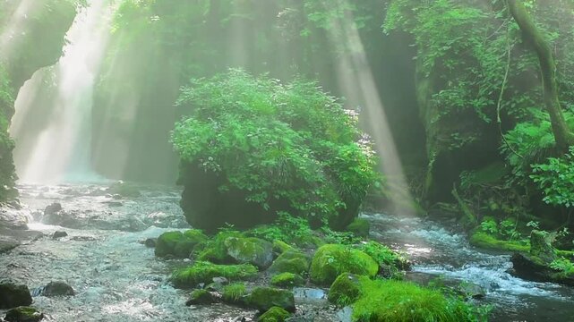 長野県軽井沢町の竜返しの滝、夏の朝に森の渓流へ光芒が差し込む幻想的な滝風景