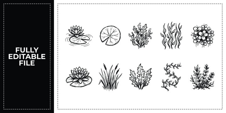 Set of marine life underwater plants and sea kelp ocean environment icons frontal isolated png on a transparent background perfectly cutout high resolution