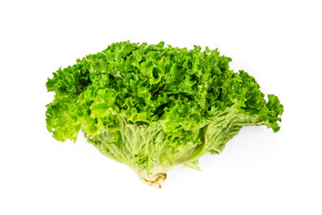 Obraz premium Lettuce leaf isolated on white background. 