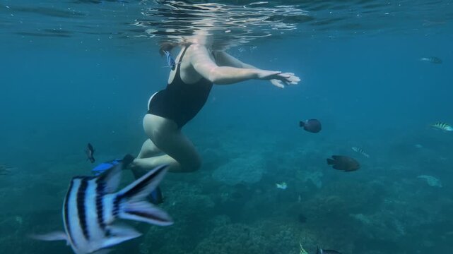 Swimmer moving through lively coral formations with vibrant marine life. Recreational snorkeler gliding across bright coral reef bustling with energetic aquatic creatures