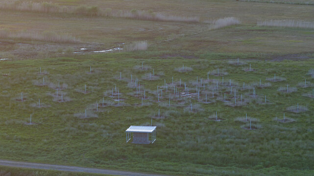 Aerial view of the LOFAR superterp radio telescope array with its field of antennas and a utility shed in the green meadows under soft sunset light Buinen, Drenthe, Netherlands.