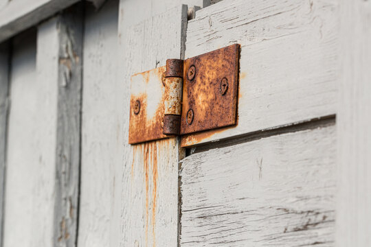 Closeup of rusty metal hinge on peeling painted wooden boards.