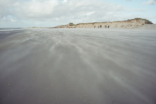 Naturerlebnis zwischen D&uuml;nen und Meer