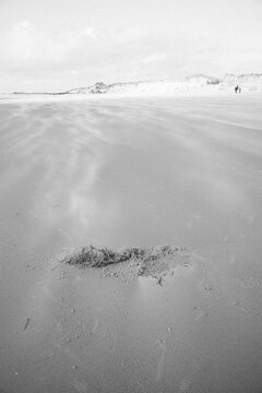 Weite Strandlandschaft im Herbst bei Skallingen