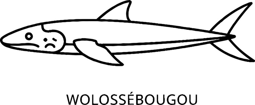 Surreal Shark Illustration with Sad Human Face