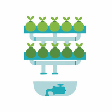 Hydroponic Vertical Farming System - Growing Plants Without Soil