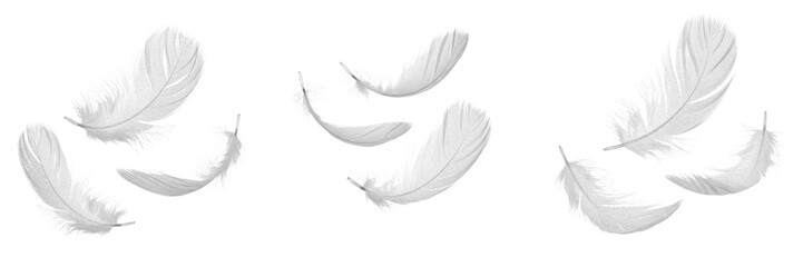 Floating Soft White Feathers Isolated on White Background for Comfort Luxury Bedding Pillows Softness Wellness Air Lightness and Natural Beauty Skincare Cosmetic Products Graphic Assets © Juumagiti