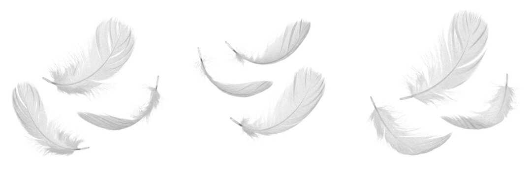 Floating Soft White Feathers Isolated on White Background for Comfort Luxury Bedding Pillows Softness Wellness Air Lightness and Natural Beauty Skincare Cosmetic Products Graphic Assets