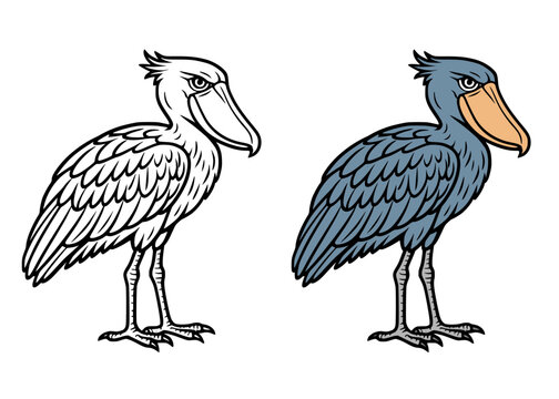 Shoebill icon illustration, in line art and colored design, transparent background, for coloring page