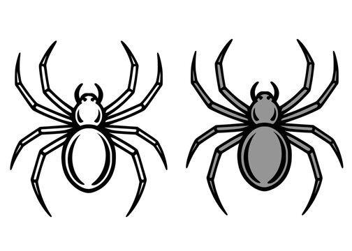 Spider icon illustration, in line art and colored design, for coloring page