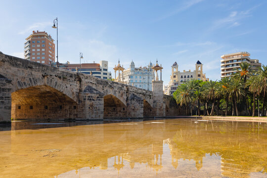 Bridge and city reflections at Valencia Turia Park under a clear blue sky. Palm trees line the park, creating a scenic view.
