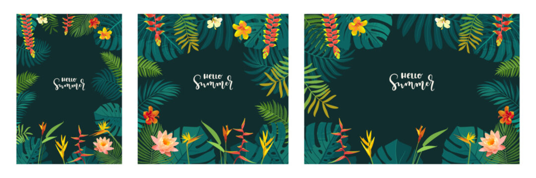 Set of vector Hello Summer tropic jungle flyer, poster, banner templates. Calligraphic summer design. Monstera, hibiscus, bird of paradise flowers, tropical leaves bg. Dark tropical frame backgrounds