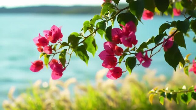A serene eye-level video of vibrant ruby-red bougainvillea, emerald-green leaves swaying in tropical breeze, blurred golden grass bokeh, azure water, golden hour. Tropical paradise concept