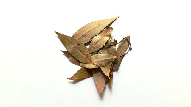 Dried bay leaves laurus nobilis aromatic culinary herb isolated on white background