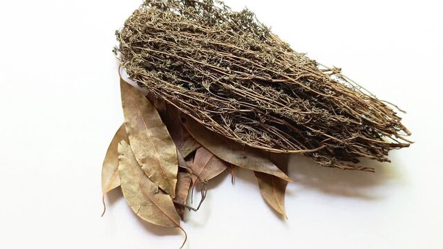 Dried thyme and bay leaves aromatic culinary herbs group isolated on white background