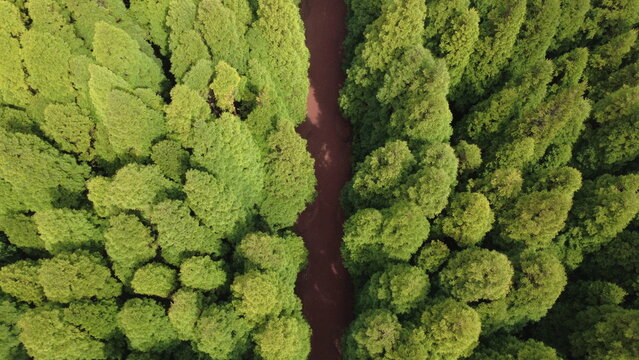 Grota do Inferno - Azores
