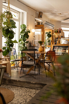 interior of trendy city cafe with natural light, warm wood, and fiddleleaf fig plant and blurry foreground element