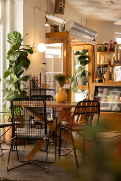 interior of trendy city cafe with natural light, warm wood, and fiddleleaf fig plant and blurry foreground element