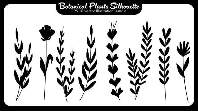 Plant and and Flower Silhouette Botanical Element Collection.Vector Illustration