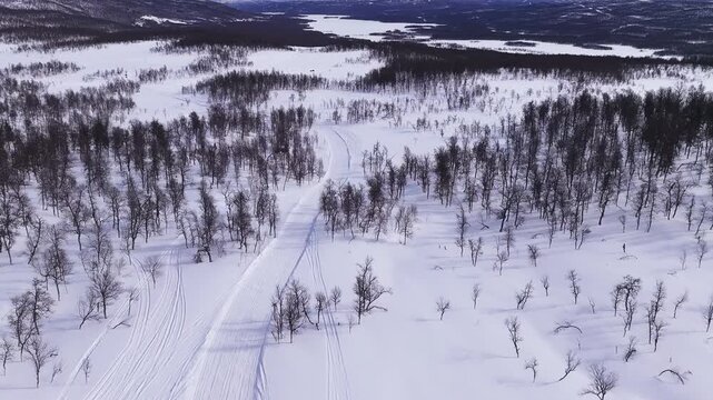Aerial perspective following a snowmobile trail winding through a vast, snow covered forest in Swedish Lapland, with bare trees casting long shadows across the pristine white landscape