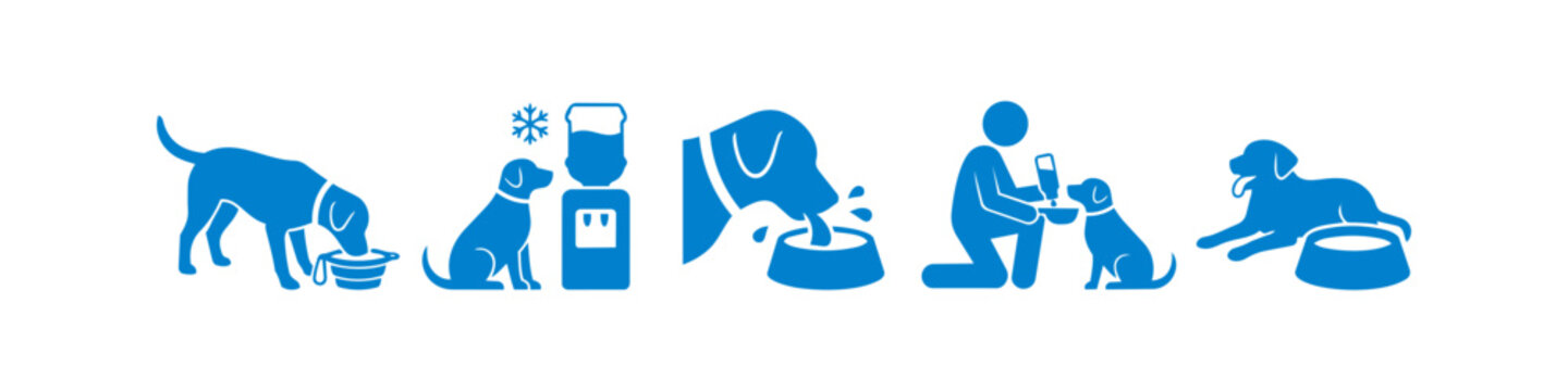 Blue icon set illustrating dog hydration and safety tips. Features dogs drinking from bowls and dispensers, with a person caring for a pet. Perfect for animal health and summer heat awareness.