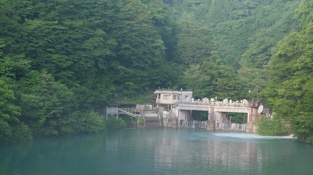 群馬県中之条町の白砂川にある白砂ダム、夏の早朝に森と静かな水面に囲まれたダム湖の自然風景
