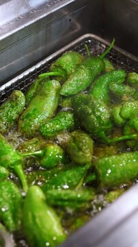 Close up of padron peppers deep frying in bubbling hot oil. Traditional spanish tapa preparation in a professional restaurant kitchen