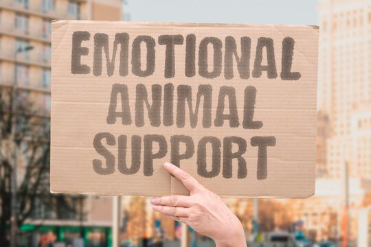 "Emotional Animal Support" Certified emotional support animals reduce hospitalization rates and improve treatment adherence in mental health patients. EMOTIONAL. ANIMAL. SUPPORT. HOSPITAL. MENTAL.