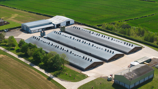 Aerial view of large industrial poultry farm buildings and silos surrounded by lush green agricultural fields under bright sunlight in Kettering, England, United Kingdom.