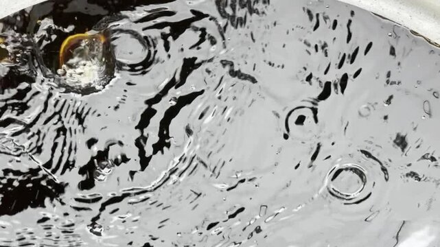 Water from a downspout and rain fall into a container