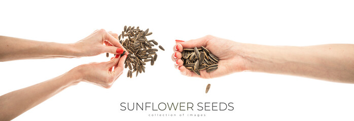 Fototapeta premium Female hand sunflower seeds on a white background isolation