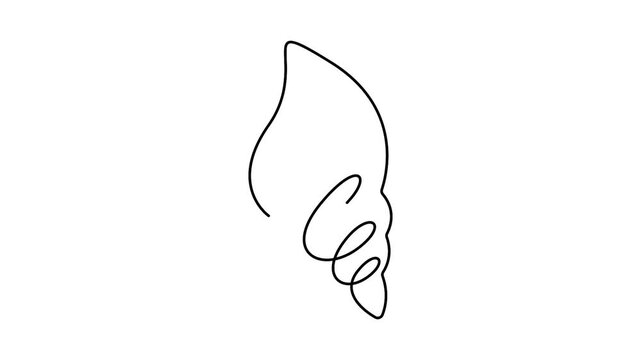 One Line Drawing Seashell Animation for Minimalist Summer Beach Concept Continuous Line Art Sea Shell Motion Graphic on White Background