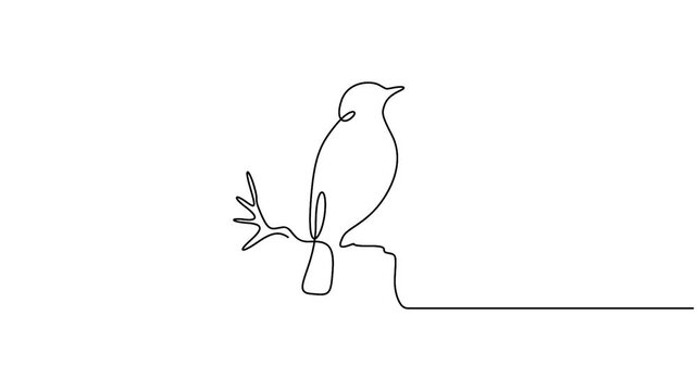 Continuous line drawing animation of a bird perched on a tree branch, minimalist one line art for nature and wildlife concept
