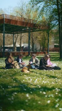 Diverse students are studying on the grass in a sunny park. They are engaged in outdoor learning with a dog resting beside them.