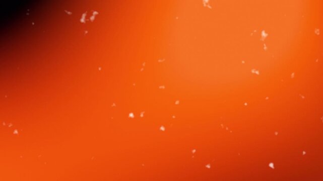 Soft orange light leak animation with glow, floating dust particles for overlay. Analog film burn light leak effect with grain for transition. Abstract orange light flare leak with particles for media
