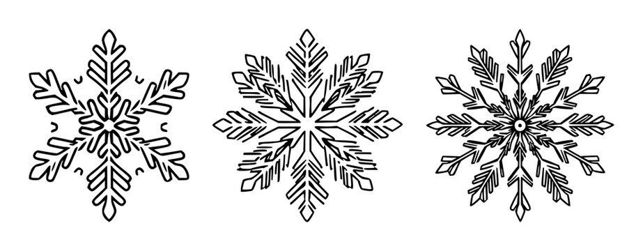 Snowflake set with black line art design on white background featuring winter, nature, ornamental with geometry and symmetry