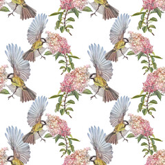 Watercolor seamless pattern with bouquet hydrangea and titmouse on white background. Pink botany flower and bird for Women day 8 march. Celebration wedding. Spring summer wallpaper or wrapping © NatashaKun